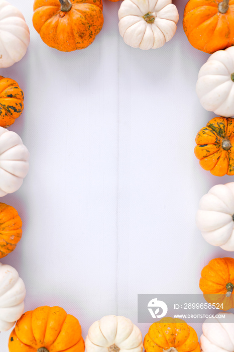 Autumn decoration on white with copy space. Fall, halloween, thanksgiving