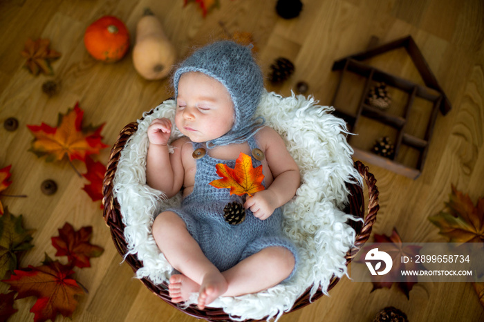 Cute newborn baby boy, sleeping with autumn leaves in a basket at home