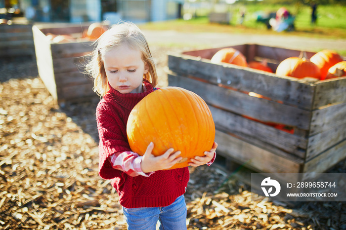 Adorable toddler girl in red poncho selecting pumpkin on farm