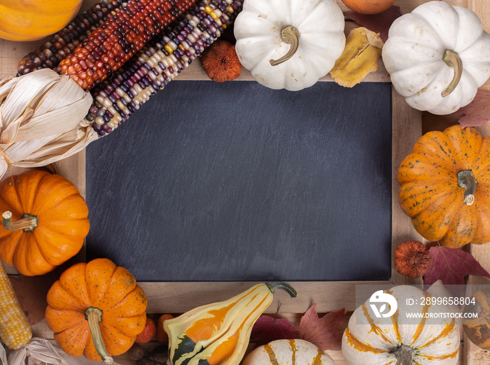 Chalkboard Bordered With Pumpkins and Corn