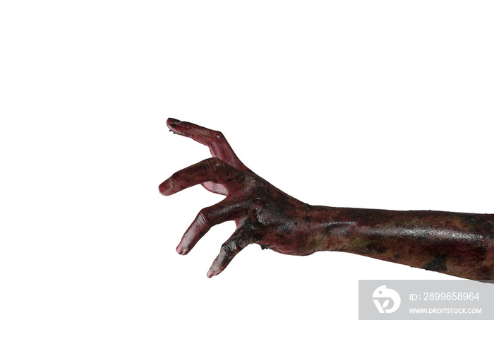 Blood  zombie hands,  zombie theme, halloween theme