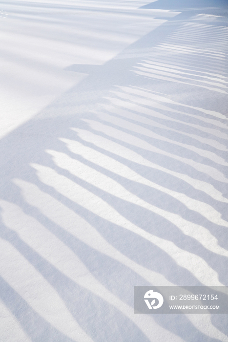 雪景