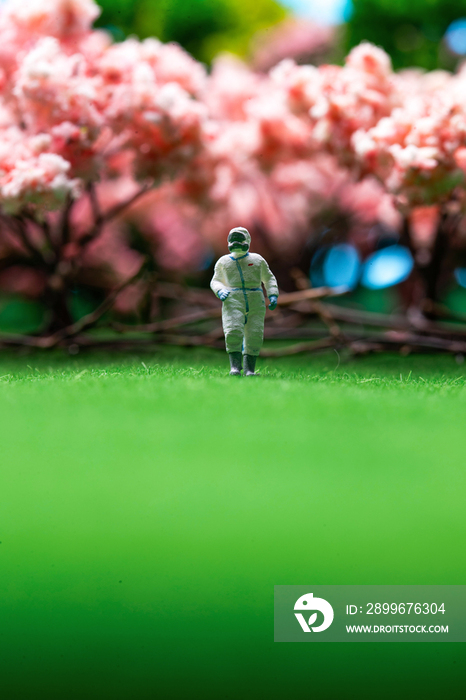 樱花树下站在草地上的医护人员