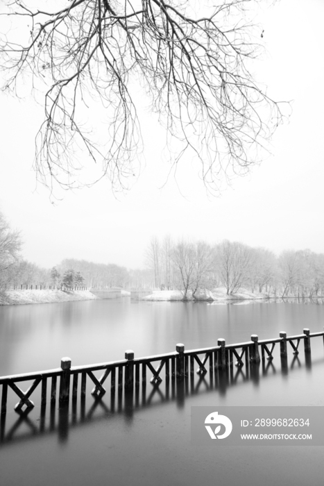 下雪后的湖边风景