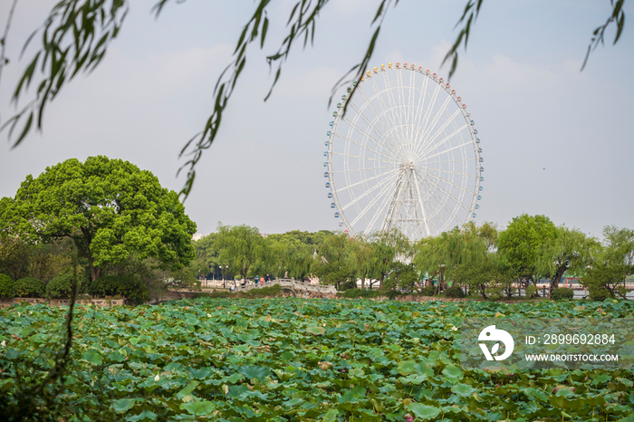 江苏省无锡蠡园