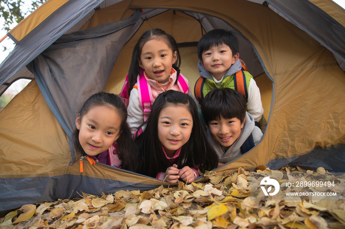 小学生在户外露营