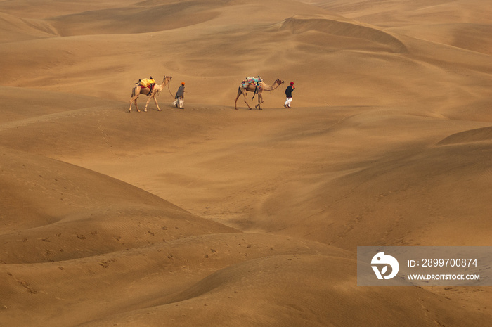 Man with camel walking across sand dunes in Jaisalmer, Rajasthan, India.