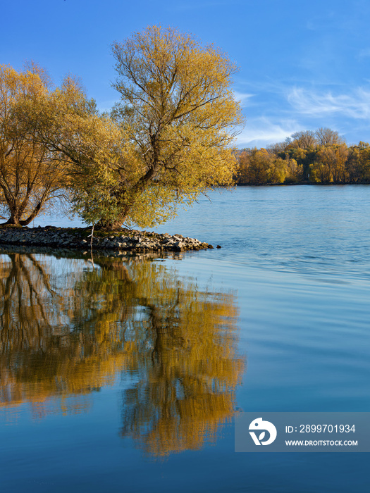 Rheintal bei Hattenheim im Herbst