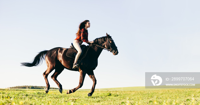 Woman riding a horse on a grass field.