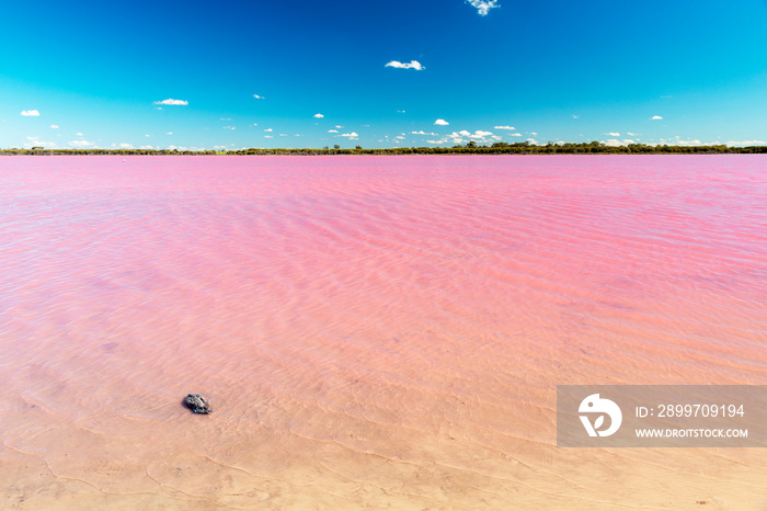 Pink Lake Australia