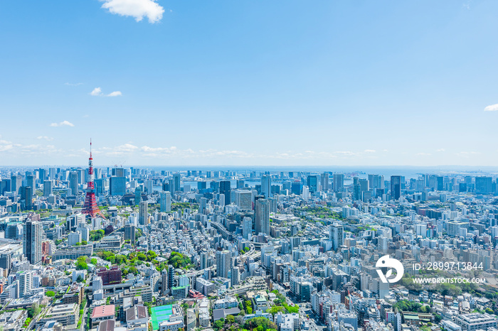 春の東京風景 Tokyo city skyline , Japan