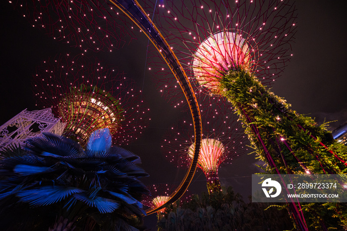 Night shot of Super Trees at Gardens By The Bay, Singapore