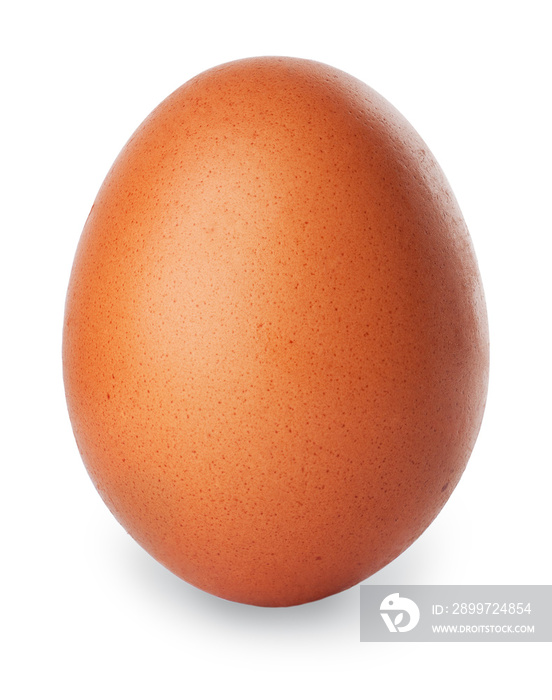 分离在白色上的单个棕色鸡蛋