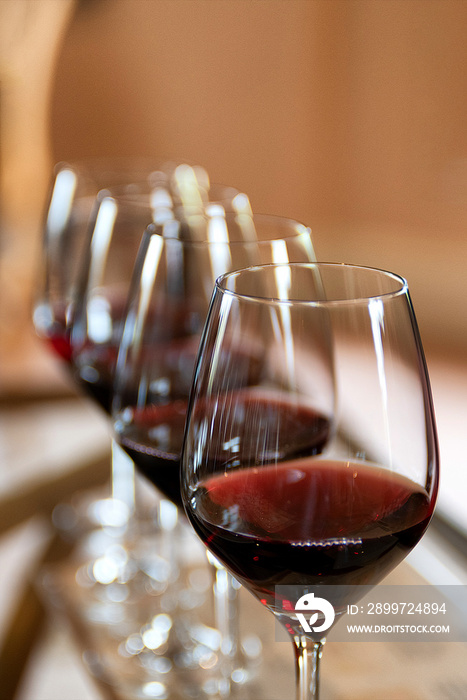 Wine tasting flight served with cheese, crackers, slices of meat and bread