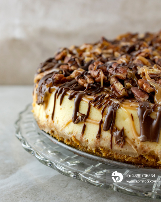 Turtle cheesecake.  Portrait cropped.  Left side of cake close up.