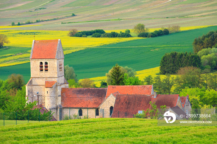 Église Saint Martin au printemps, Reuilly-Sauvigny, Aisne