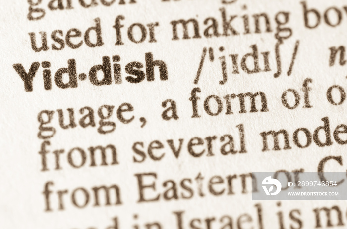 Dictionary definition of word Yiddish