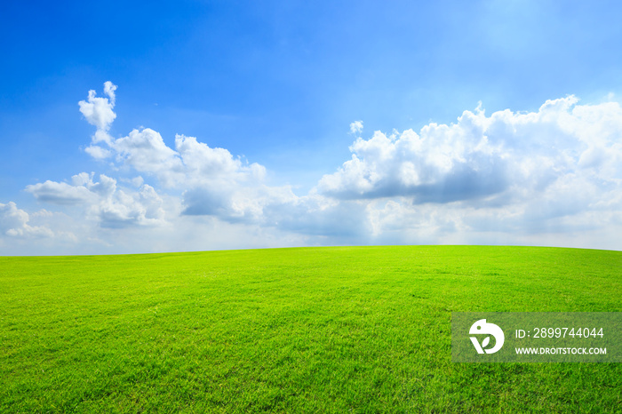 Green grass and blue sky with white clouds