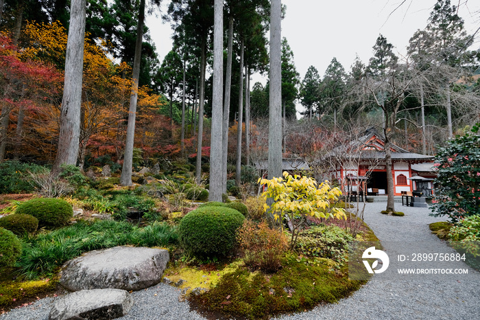 【京都】三千院の紅葉（秋）