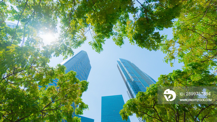 perspective exterior pattern blue glass wall modern buildings with green tree leaves