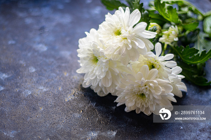 bouquet of white flowers