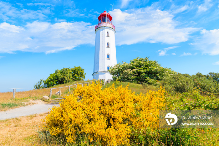 Dornbush lighthouse in spring landscape with flowers on northern coast of Hiddensee island, Baltic S