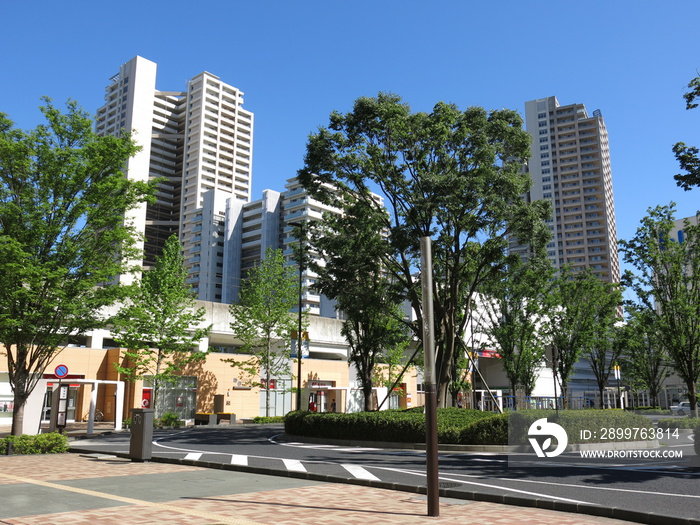 柏の葉キャンパス駅西口の風景