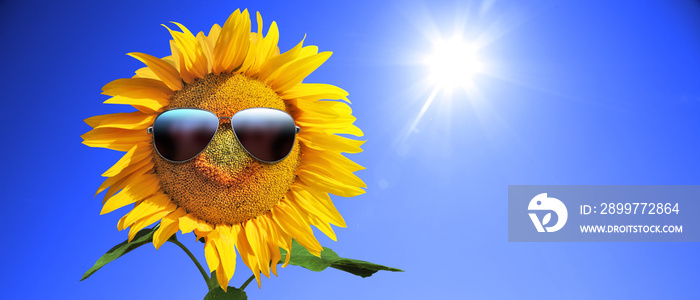 Sonnenblume mit Sonnenbrille