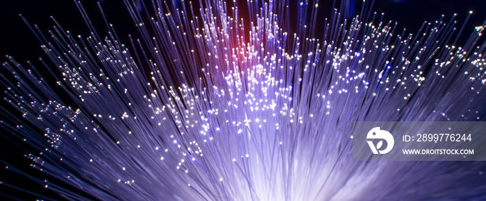 Fiber optics network cable on technology background