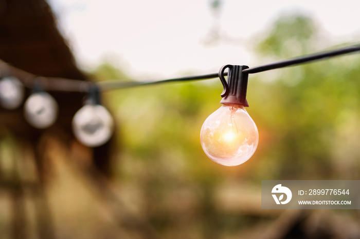 灯泡挂在电线上，阳光背景。能源概念