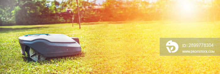 Automatic lawnmower in modern garden in sunny day. Panorama, banner