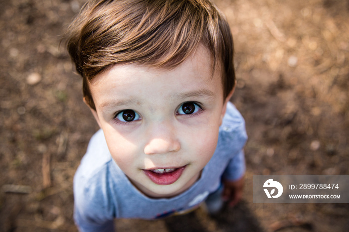 Portrait of cute small boy looking up.