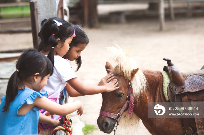 Asian children touching and playing with pony in the farm with fun