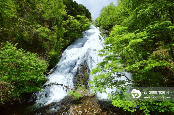 奥日光 湯滝　夏景色