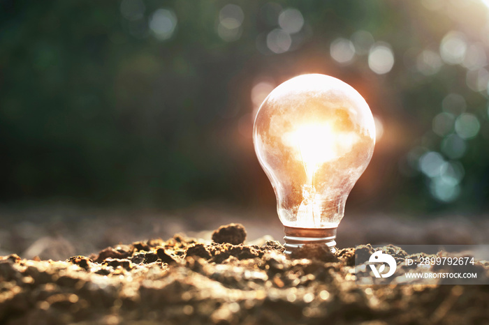 lightbulb on soil and sunshine. concept saving energy solar power in nature