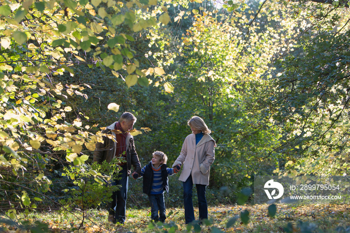 Grandparents and grandson walking in woods