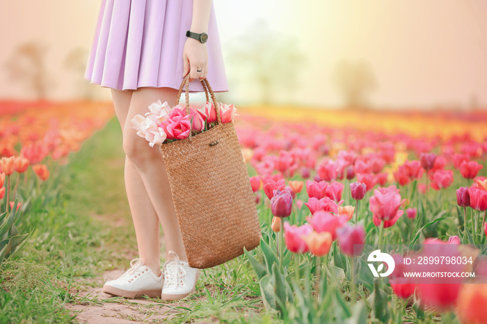 Beautiful young woman with bag in tulip field on spring day