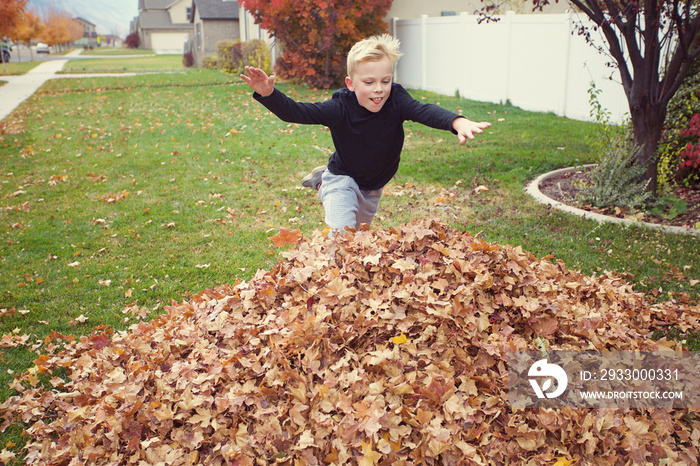 Cute young boy jumping into a large pile of leaves on a fall afternoon. Having fun playing outdoors