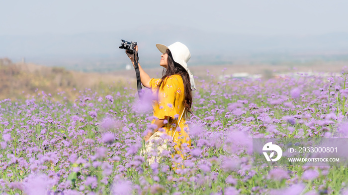 Traveler or tourism Asian women standing and holding camera take a photo flower in the purple  verbena field in vacations time.  People  freedom and relax in the spring  meadow.  Lifestyle Concept