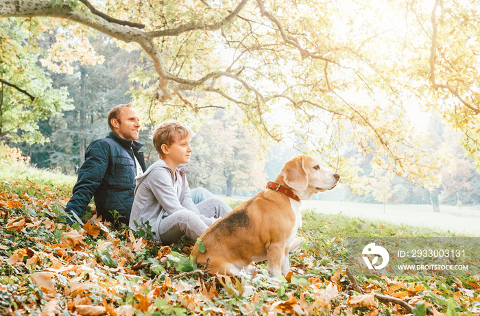 Father, son and beagle dog sitting in autumn park, warm indian summer day