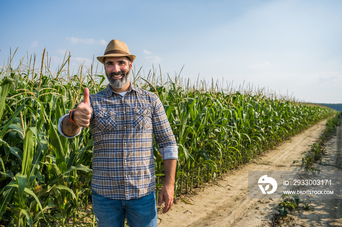 Proud farmer is standing in his growing corn field. He is satisfied because of successful season.