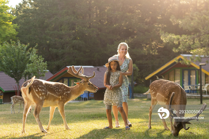 happy little girl with deer. family weekend