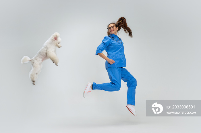 Portrait of young beautiful woman, female veterinary, vet doctor and sweet cute white poodle dog jumping isolated over white background.