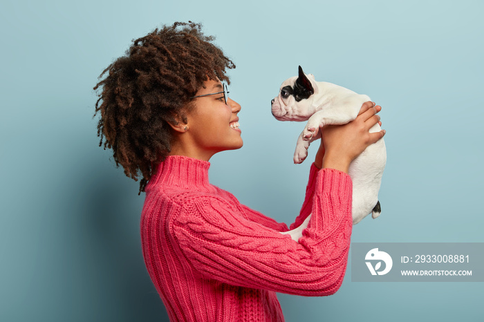 Sideways shot of playful positive Afro female takes care of little pedigree dog who craves attention, wears spectaclse, pink jumper pleased to have pet holds baby animal isolated over blue studio wall