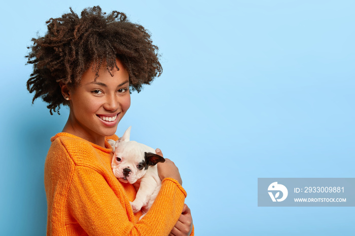 Beautiful African American woman stands sideways at camera, plays with small bulldog puppy at home, show love between owner and pet, isolated on blue background. Family, animals and relations