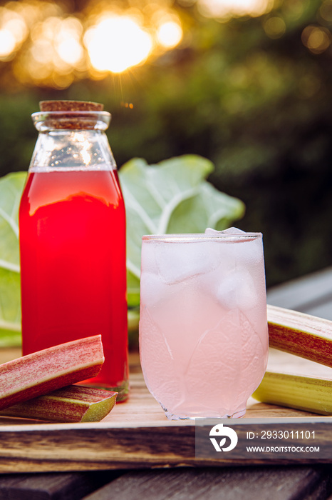 Homemade rhubarb syrup ( Rheum hybridum ). Nice pink liquid syrup in bottle and glass with juice and ice cubes in drinking glass on tray, decorated with rhubarb stalks. Refreshing spring drink.