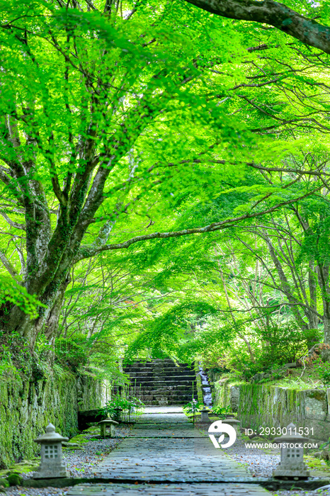 夏の両子寺　大分県国東市　Futagoji Temple in summer. Ooita-ken Kunisaki city.　