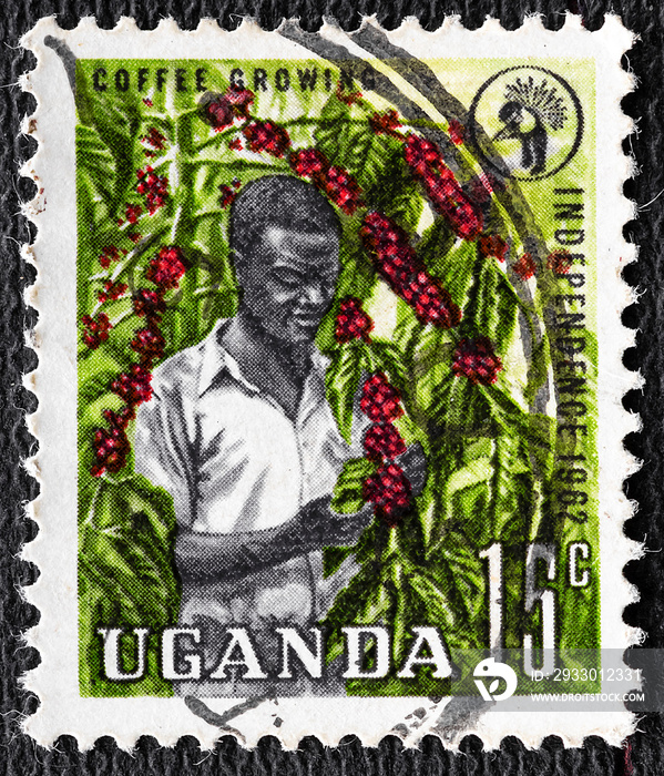 UGANDA - CIRCA 1962: A stamp printed in Uganda shows Picker coffee. 1962.