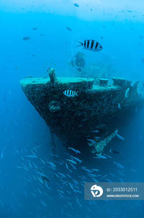 Diver with Reflection inside the SS Thistlegorm shipwreck near Ras Muhammed, Red Sea, Egypt.