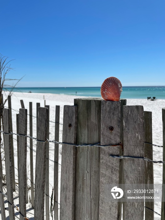 wooden fence on beach with seashell